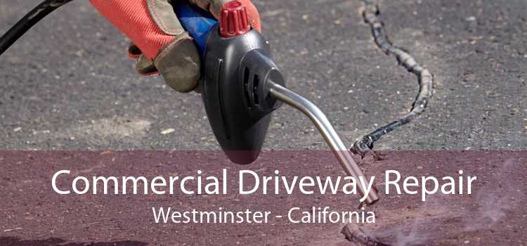 Commercial Driveway Repair Westminster - California