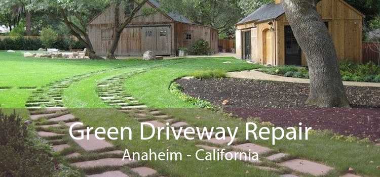 Green Driveway Repair Anaheim - California