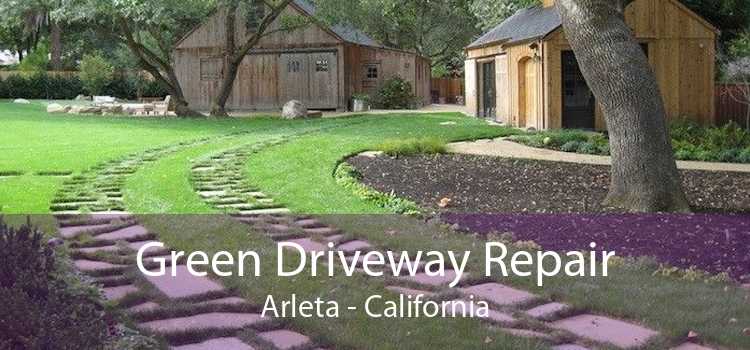 Green Driveway Repair Arleta - California