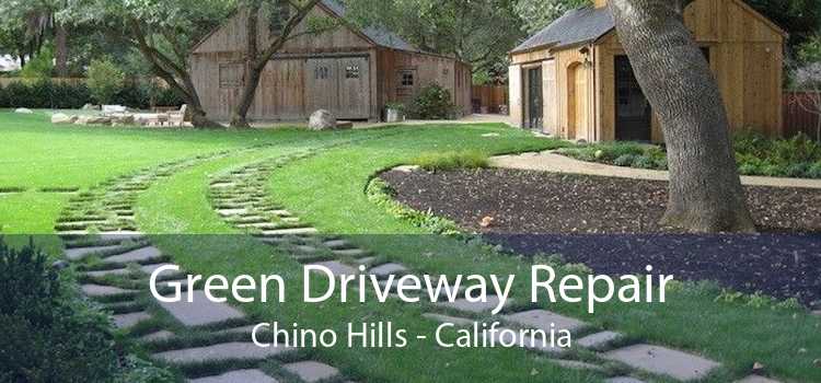 Green Driveway Repair Chino Hills - California