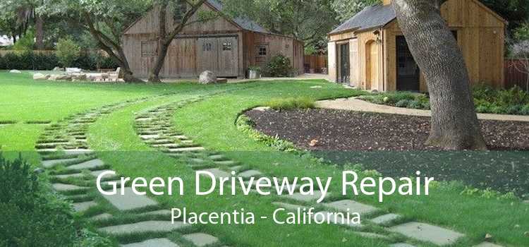 Green Driveway Repair Placentia - California