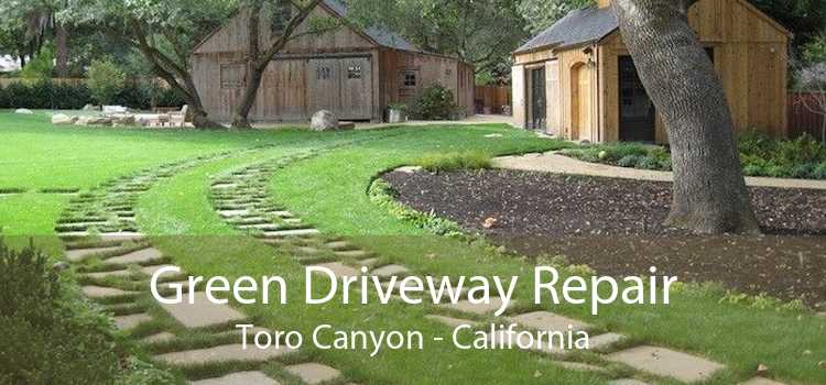 Green Driveway Repair Toro Canyon - California